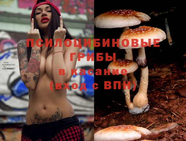 первитин Новокубанск