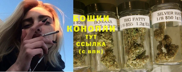 крисы Нягань