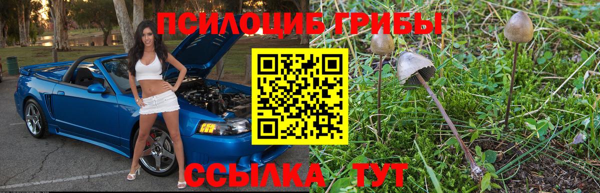 Псилоцибиновые грибы Psilocybine cubensis Кубинка