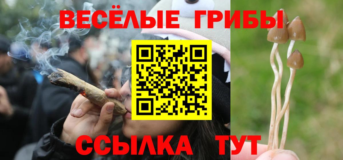 Псилоцибиновые грибы мухоморы  продажа наркотиков  Псилоцибиновые грибы MAGIC MUSHROOMS  Кубинка  Вход с VPN 